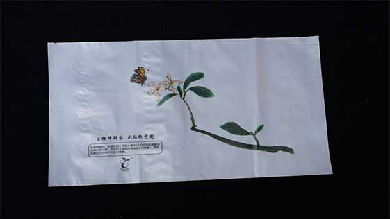 生物降（jiàng）解袋是普通塑料袋的升級產品