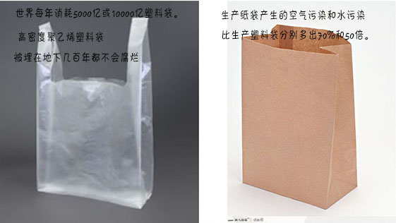 購物袋的選擇？塑料袋or紙（zhǐ）袋？