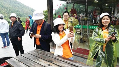 純（chún）宇員工一日遊——南山竹海