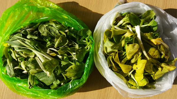 可降解塑料袋能不能放冰（bīng）箱？