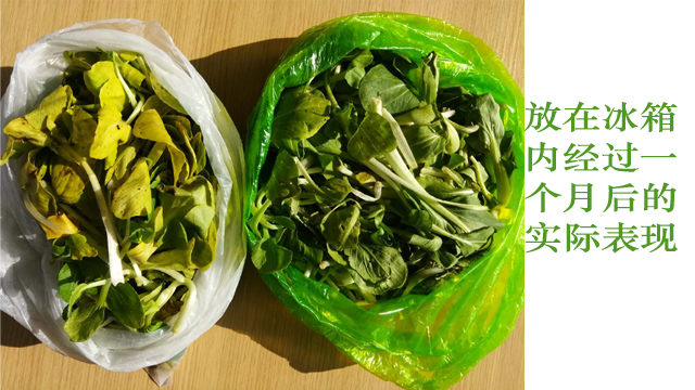 生物降解袋能直接包（bāo）裝食品嗎？